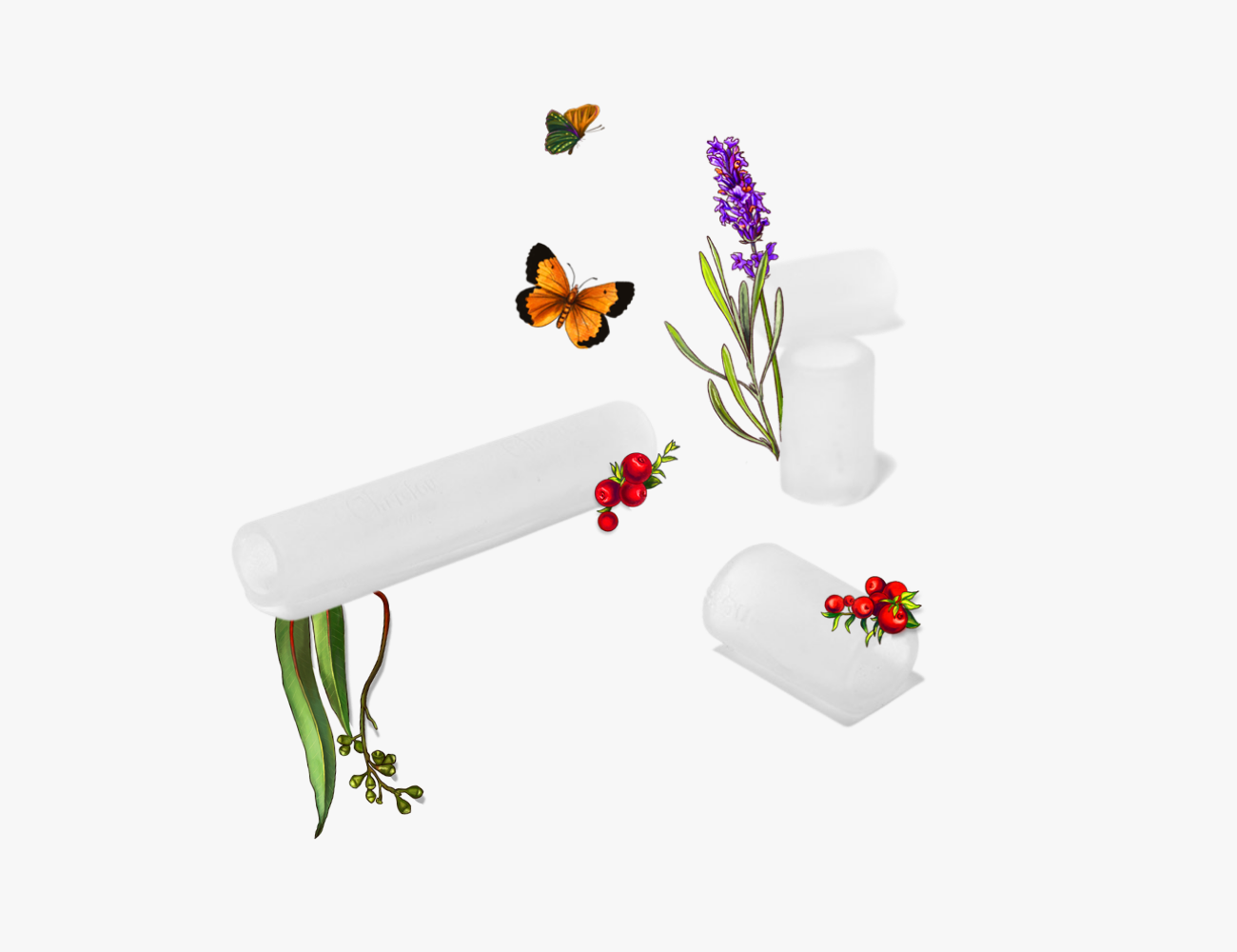 Προστατευτικός Σωλήνας για Κάλους, Φουσκάλες, Μύκητες με BIO Αιθέρια Έλαια