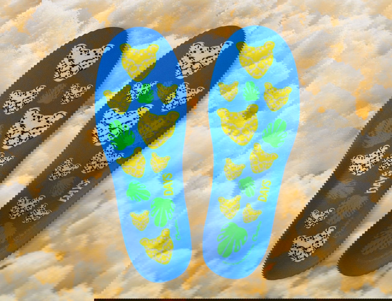 Ανατομικοί Πάτοι για Ενήλικες Cheetahs Comfy Blue