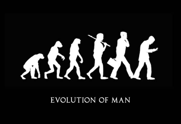 human evolution